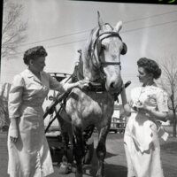 BS1907-Meadow_Gold_Dairy_Horses_4-22-1953_205.jpg