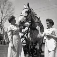 BS1908-Meadow_Gold_Dairy_Horses_4-22-1953_206.jpg