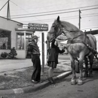 BS1912-Meadow_Gold_Dairy_Horses_4-22-1953_210.jpg