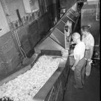 BS1750-Kelly_Potato_Chips_Potato_Chip_Making_Machine_6-24-1953_.jpg