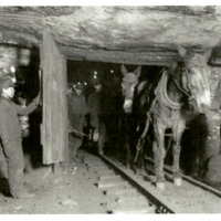 BS994-inside mine 4439.tif