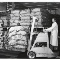 BS1926-Kelley Potato Chips.jpg