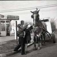 BS1911-Meadow_Gold_Dairy_Horses_4-22-1953_209.jpg