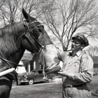 BS1915-Meadow_Gold_Dairy_Horses_4-22-1953_213.jpg