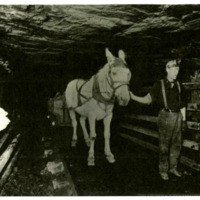 BS992-inside mine 5 440.tif