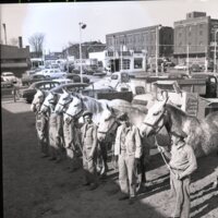 BS1906-Meadow_Gold_Dairy_Horses_4-22-1953_202.jpg