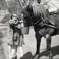 BS1910-Meadow_Gold_Dairy_Horses_4-22-1953_208.jpg